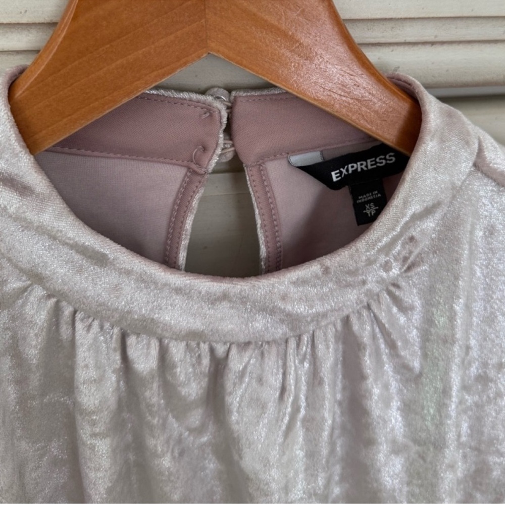 Express Velvet Ruched Dress - Picture 6 of 7